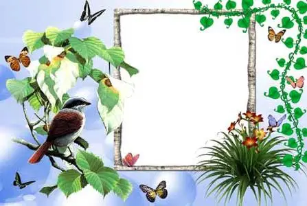 Bird Frame for Photoshop