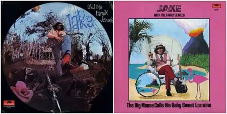 Jake And The Family Jewels discography (2 albums)