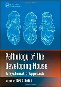 Pathology of the Developing Mouse: A Systematic Approach