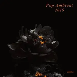 VA - Pop Ambient 2019 (2018)
