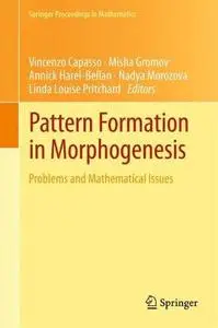 Pattern formation in morphogenesis : problems and mathematical issues