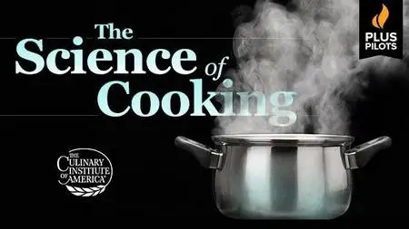 Plus Pilots: The Science of Cooking