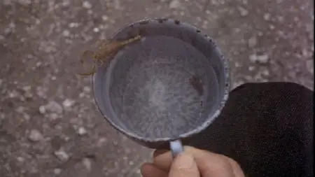 The Deadly Trackers (1973)