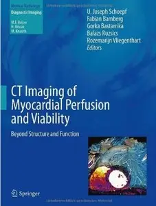 CT Imaging of Myocardial Perfusion and Viability: Beyond Structure and Function [Repost]