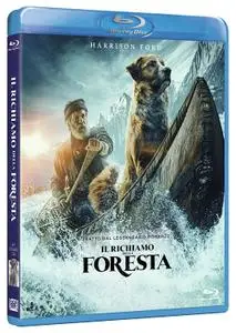 Il Richiamo Della Foresta / The Call of the Wild (2020)