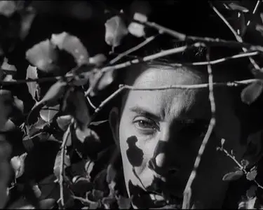 Fear and Desire (1953) [Re-UP]