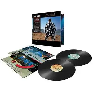 Pink Floyd - Delicate Sound Of Thunder (1988/2017) [2LP, Remastered, 180 Gram, DSD128]