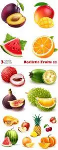 Vectors - Realistic Fruits 11