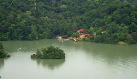 Electricsky - The Secret Life of the Rainforest (2012)
