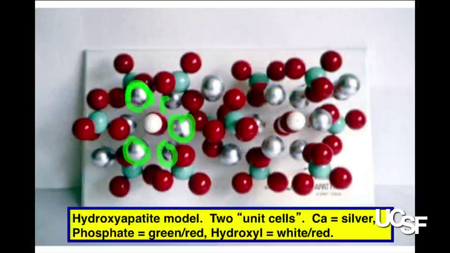 Coursera - Caries Management by Risk Assessment (CAMBRA)