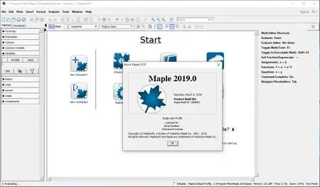 Maplesoft Maple 2019.0 fixed release