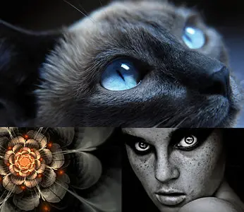 Beautiful HD Wallpapers. By Buster N44