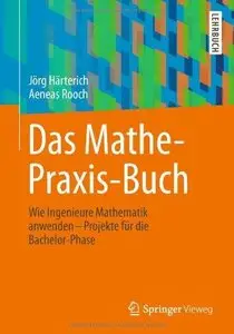 Das Mathe-Praxis-Buch: Wie Ingenieure Mathematik anwenden - Projekte für die Bachelor-Phase 
