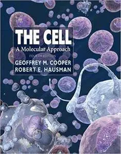 The Cell: A Molecular Approach, Fourth Edition (Repost)