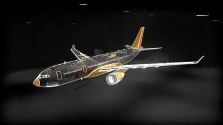 PBS - Nova: Crash of Flight 447 (2011)