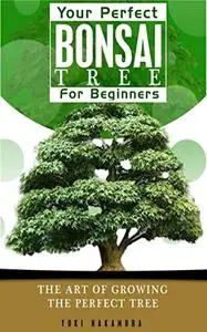 Bonsai Trees: The art of growing your bonsai trees and making them personal and perfect.