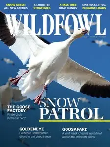 Wildfowl - December-January 2015