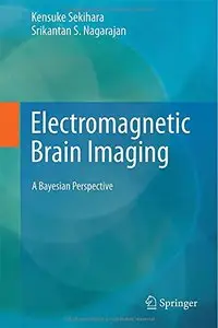 Electromagnetic Brain Imaging: A Bayesian Perspective