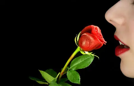 Rose & Lips