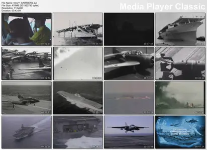 Weapons Of War - US Navy Carriers (2008)