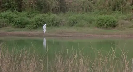 Enter the Ninja (1981)