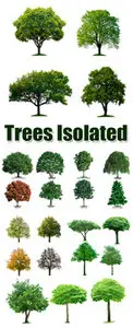 Stock Photo - Trees Isolated