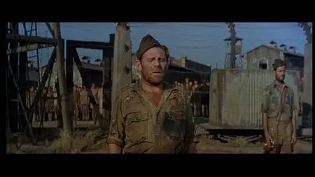 Von Ryan's Express (1965)