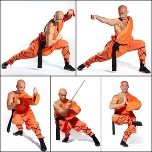 Stock Photo - Shaolin Warrior