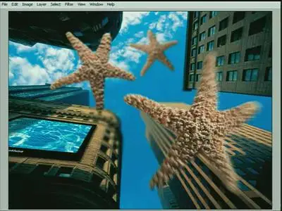 Total Training: Adobe Photoshop CS - Tips and Tricks. Video tutorial.