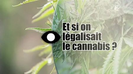(France 2) Et si on légalisait le cannabis ? (2011)