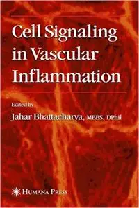 Cell Signaling in Vascular Inflammation (Repost)