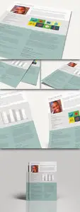 CEO CV Resume Template