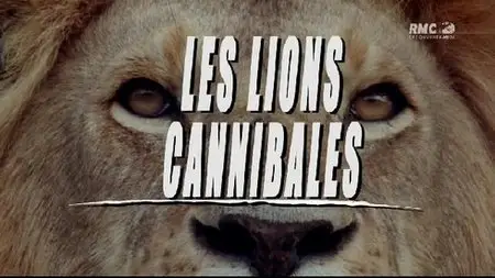 Les Lions Cannibales (2011)