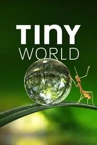 Tiny World S01E01
