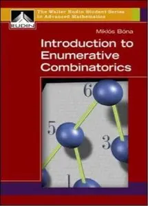 Introduction to Enumerative Combinatorics (repost)