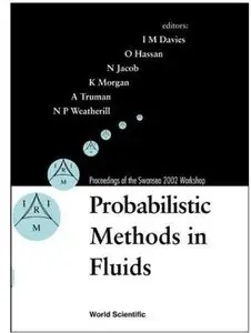 Probabilistic Methods in Fluids
