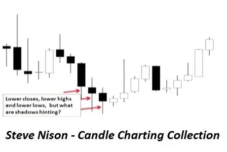 Steve Nison - Candle Charting Collection