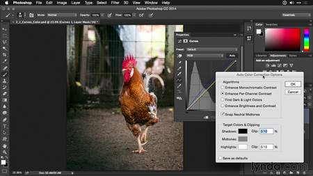 Photoshop CC Adjustment Layer and Blend Mode Workshop [repost]