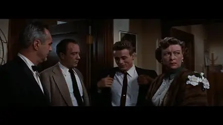 Rebel Without a Cause (1955)