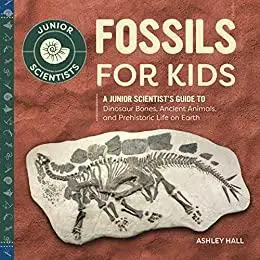 Fossils for Kids