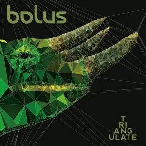 Bolus - Triangulate (2013)