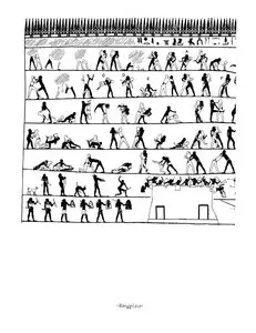 Touny A. D., Steffen Wenig - "Der Sport im alten Ägypten"