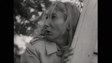 Birth of the Living Dead (2013)