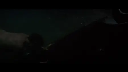 Chappaquiddick (2017)