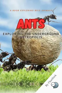 Ants: Exploring the Underground Metropolis