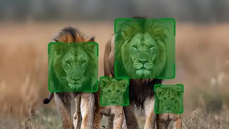 Real-Time Ai Animal Identification With Deep Learning & Cv