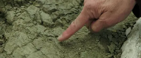 The Bones (2024)