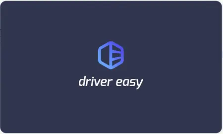 Driver Easy Professional 6.1.1 Build 29776 Multilingual Portable