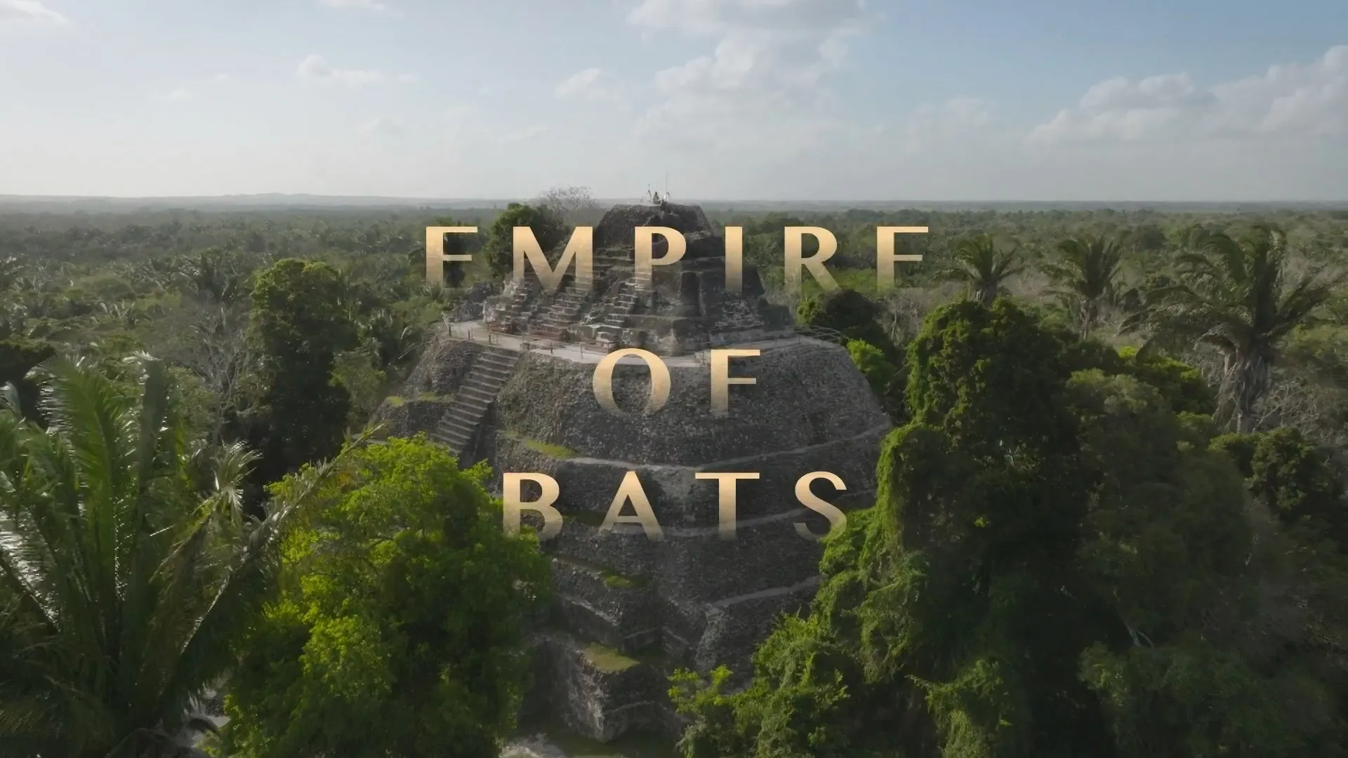 The Nature of Things with David Suzuki: Empire of Bats (2025)