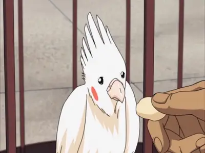 Bleach (2004 S01E04 And Your Bird Can Speak ASC